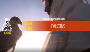 Dakar 2020 - Stage 9 - Falcons