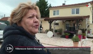 Villeneuve-Saint-Georges : comment gérer les zones inondables ?
