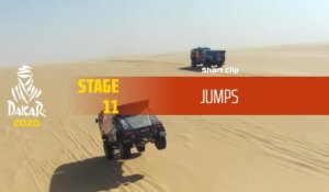 Dakar 2020 - Étape 11 / Stage 11 - Jumps