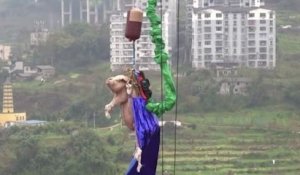 En Chine, un cochon est jeté au saut à l'élastique dans un parc d'attractions