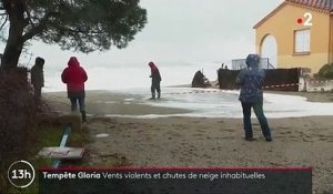 Tempête Gloria : des intempéries inédites depuis 1982