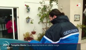 Tempête Gloria : les Pyrénées-Orientales et l'Aude en alerte