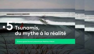 [BA] Tsunamis, du mythe à la réalité - 30/01/2020