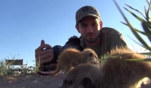 Ce photographe passe un moment incroyable avec des bébés suricates