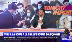 Virus chinois : la soupe à la chauve-souris soupçonnée - 23/01