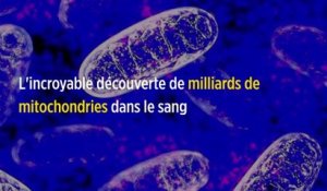L'incroyable découverte de milliards de mitochondries dans le sang
