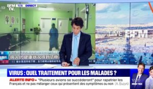 Virus: quel traitement pour les maladies ? - 28/01