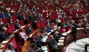 2ème séance : Questions au Gouvernement ; Prise en compte des droits de l’enfant (proposition de résolution) ; protection des victimes de violences conjugales (proposition de loi) - Mardi 28 janvier 2020