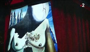Exposition : à Paris, l'énigme Salvador Dali sublimée en lumière