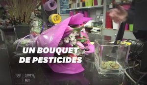 Pour la Saint-Valentin, voici ce qu'il y a dans les bouquets de fleurs