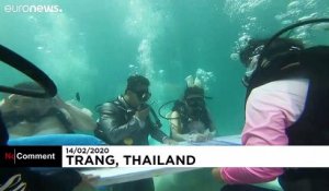 En Thaïlande, pour la Saint-Valentin, on se marie sous l'eau