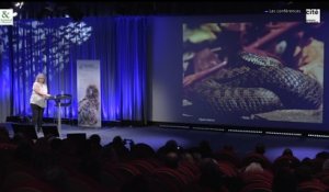 Conférence de Françoise Serre Collet : Fascinants serpents