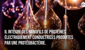 Ce nouveau dispositif permet de générer de l'électricité  à partir de l'air ambiant