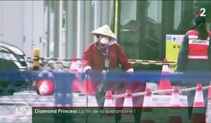 Covid-19 : 500 passagers du "Diamond Princess" débarqués