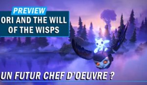 ORI AND THE WILL OF THE WISPS : Un futur chef d'oeuvre ? | PREVIEW