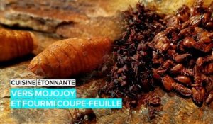 Cuisine étonnante : mangez des vers et des fourmis d'Amazonie