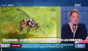 Objectif Terre : Tourisme, il ne faut pas transporter les plantes - 28/02