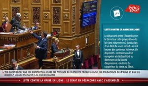 Haine en ligne : le Sénat en désaccord avec l'Assemblée nationale - Les matins du Sénat (28/02/2020)