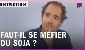 Du soja dans nos assiettes : faut-il s’inquiéter ?