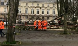 Vents violents à Laval : deux arbres tombés place du 11-Novembre