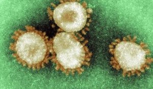 Coronavirus : le virus aurait déjà muté en une version plus infectieuse