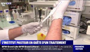 Les recherches de l'institut Pasteur pour un traitement efficace contre le coronavirus