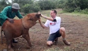 Cet éléphanteau s'amuse à embêter un journaliste