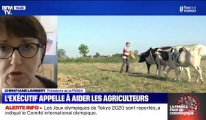 Christiane Lambert, présidente de la FNSEA appelle à "aller aider les agriculteurs"