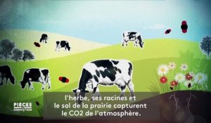 Non, les vaches ne polluent pas forcément, et "Pièces à conviction" explique pourquoi