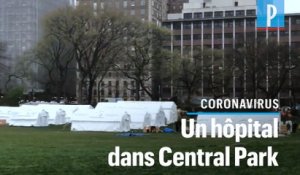 Coronavirus : un hôpital de campagne en plein Central Park