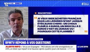 Pourquoi une telle flambée des prix au niveau des fruits et légumes? BFMTV répond à vos questions