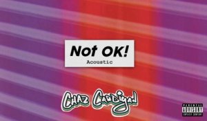 Chaz Cardigan - Not OK! (Acoustic / Audio)