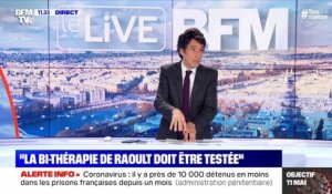 "La bi-thérapie de Raoult doit être testée" (4) - 15/04