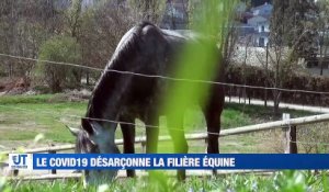 Le Covid19 désarçonne la filière équine