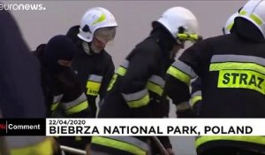 Pologne : le parc de Biebrza en proie aux flammes