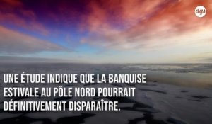 Dans 30 ans, le Pôle Nord pourrait connaître un été sans glace