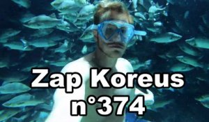 Zap Koreus n°374
