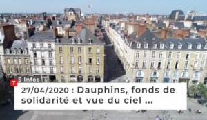 Dauphins, fonds de solidarité et vue du ciel … Cinq infos bretonnes du 27 avril