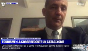 Selon le président du conseil exécutif de Corse, "la saison touristique 2020 va être catastrophique"