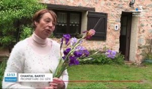 Alpes-de-Haute-Provence : les propriétaires de gîtes s’adaptent pour sauver la saison touristique