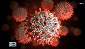 Coronavirus - Le fiasco de l'essai clinique européen Discovery, destiné à trouver un traitement efficace contre le Covid-19