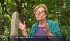 Foyer épidémique en Dordogne : neuf personnes testées positives au coronavirus