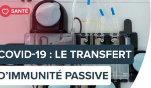 Covid-19 : le plasma convalescent, une thérapie sûre | Futura