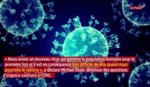 D'après l'OMS, le coronavirus pourrait « ne jamais disparaître »