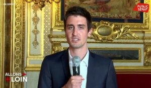 Exécutif - Sénat : la tension monte ? - Allons plus loin (02/04/2020)