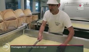 Fromages AOC : une filière en danger
