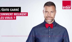 Comment meurent les virus ? L’Édito carré de Mathieu Vidard