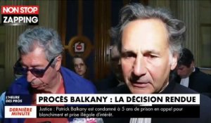 Les époux Balkany condamnés en appel : leur avocat estime que la justice a voulu les "tuer" (Vidéo)