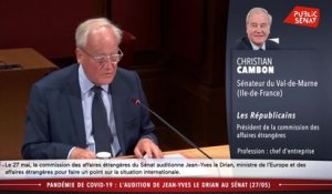 Audition de Jean-Yves Le Drian - Les matins du Sénat (29/05/2020)