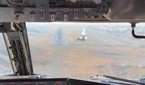 Un avion de ligne percute un oiseau au moment de l'atterrissage